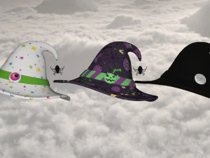 Hat end broom magic 3D Model
