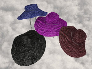 Explorer hat 3D-Modell
