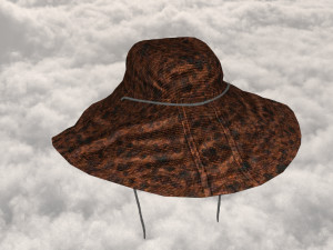 шляпа исследователя 3D Модель