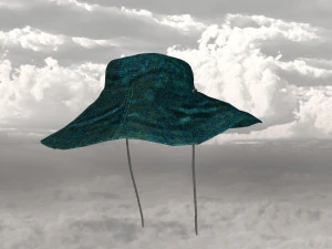 Explorer hat 3D Model