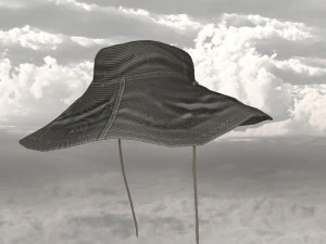 Explorer hat 3D Model