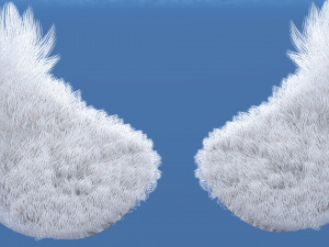 Chest slap plate 3D Model