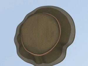 ELEGANT AUTUMN HAT 3D Model