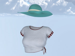 Hat and shirt summer Modelo 3D