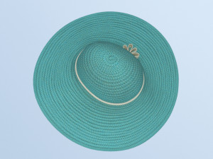 Hat and shirt summer 3D Model