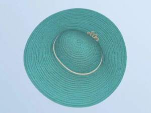 Hat and shirt summer 3D Model