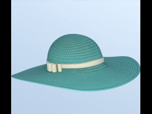 Hat and shirt summer 3D Model