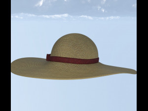 Hat and shirt summer 3D Model