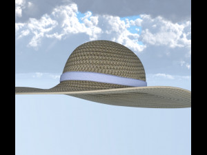 Hat and shirt summer 3D Model