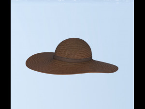 Hat and shirt summer 3D Model
