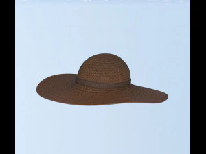 Hat and shirt summer 3D Model