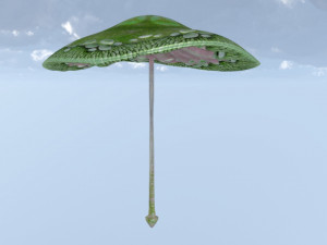 Umbrella Mushroom 3D मॉडल