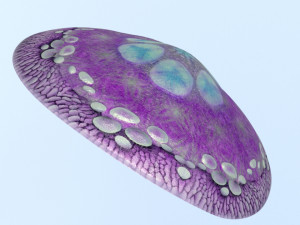 Mushroom hat Modello 3D