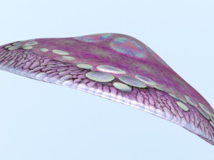 Mushroom hat 3D-Modell