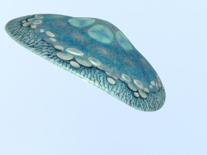 Mushroom hat 3D-Modell
