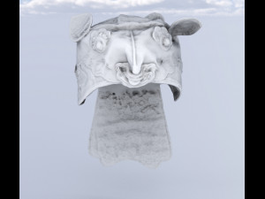 Tiger hats chinese Modelo 3D