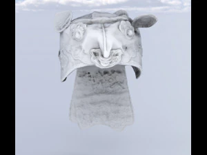 Tiger hats chinese 3D Model