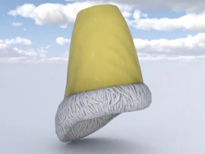 Fur hat 3D Model