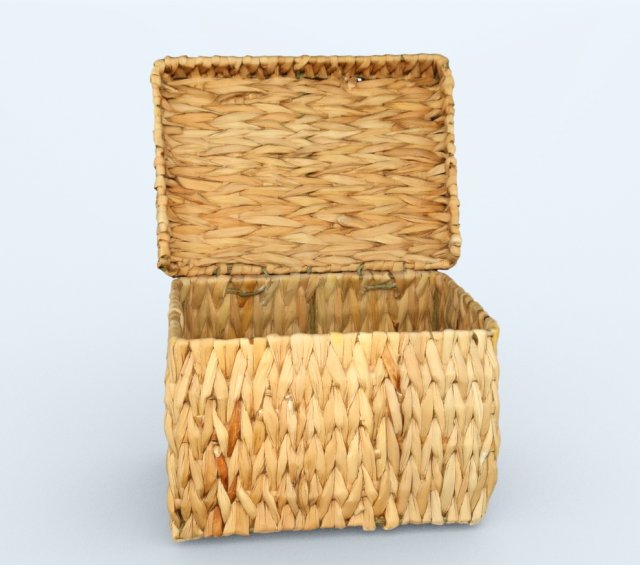 Basket lid 3D Model .c4d .max .obj .3ds .fbx .stl .blend 