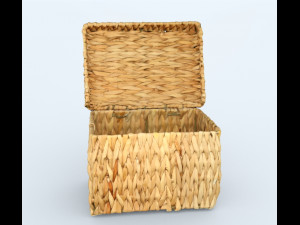 Basket lid 3D Model