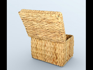 Basket lid 3D Model
