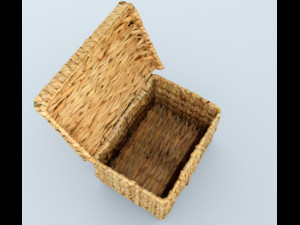 Basket lid 3D Model