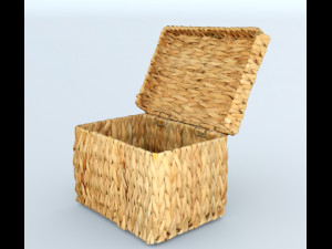 Basket lid 3D Model
