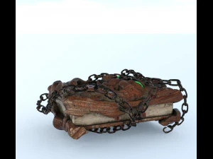 Book witch 3D Model