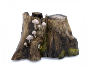 Stump 3D Модель