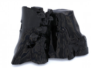 Stump Model 3D