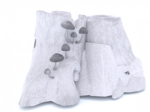 Stump Model 3D