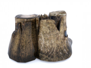 Stump Model 3D
