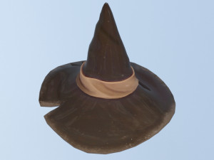 Wizard hat 3D 모델