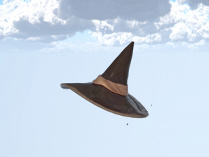 Wizard hat 3D 모델