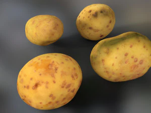 Vegetables and board 3D Model
