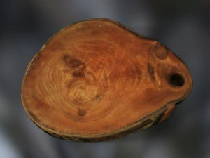 Vegetables and board 3D Model