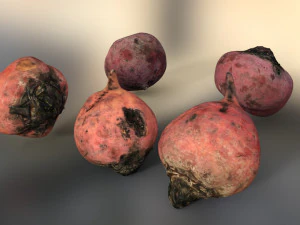 Vegetables and board 3D Model