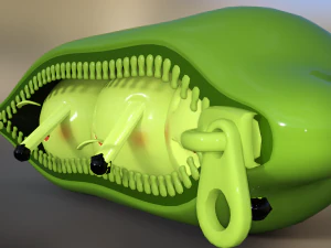 Peas in a pod 3D Model
