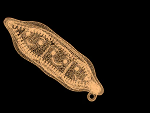 Peas in a pod 3D Model