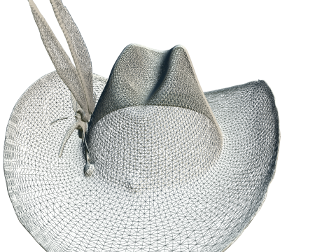 Decorated Country Hat 3D Model