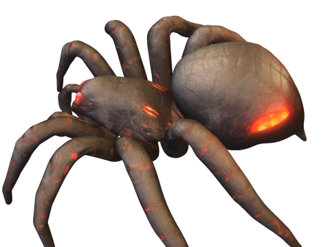 Dark Venomous Spider 3D Model