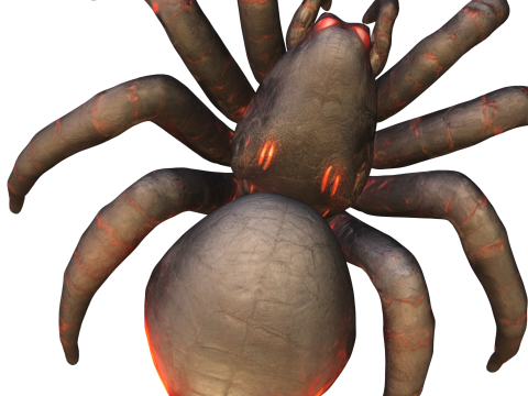 Dark Venomous Spider 3D Model