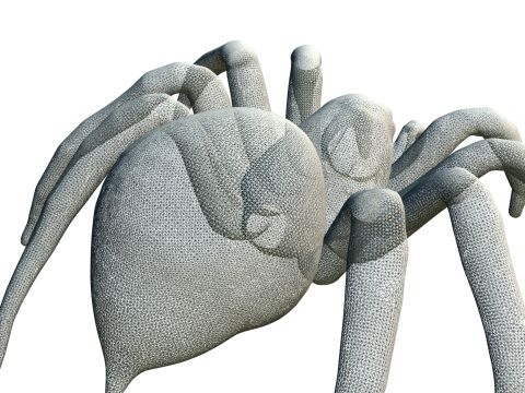 Dark Venomous Spider 3D Model