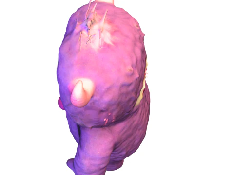 Cute Fuzzy Love Monste 3D Model