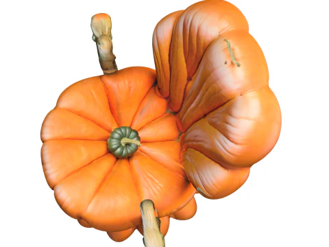 Pumpkin Throne Chair 3D Model
