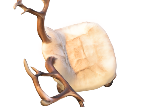 Antler Throne Chair Fantasy 3D Model