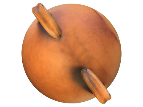 Chonk Shiba Plush 3D Model