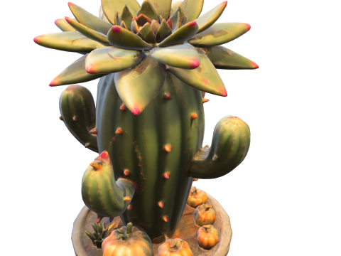 Cactus Buddy Stylized Cartoon Desert Creature Modèle 3D