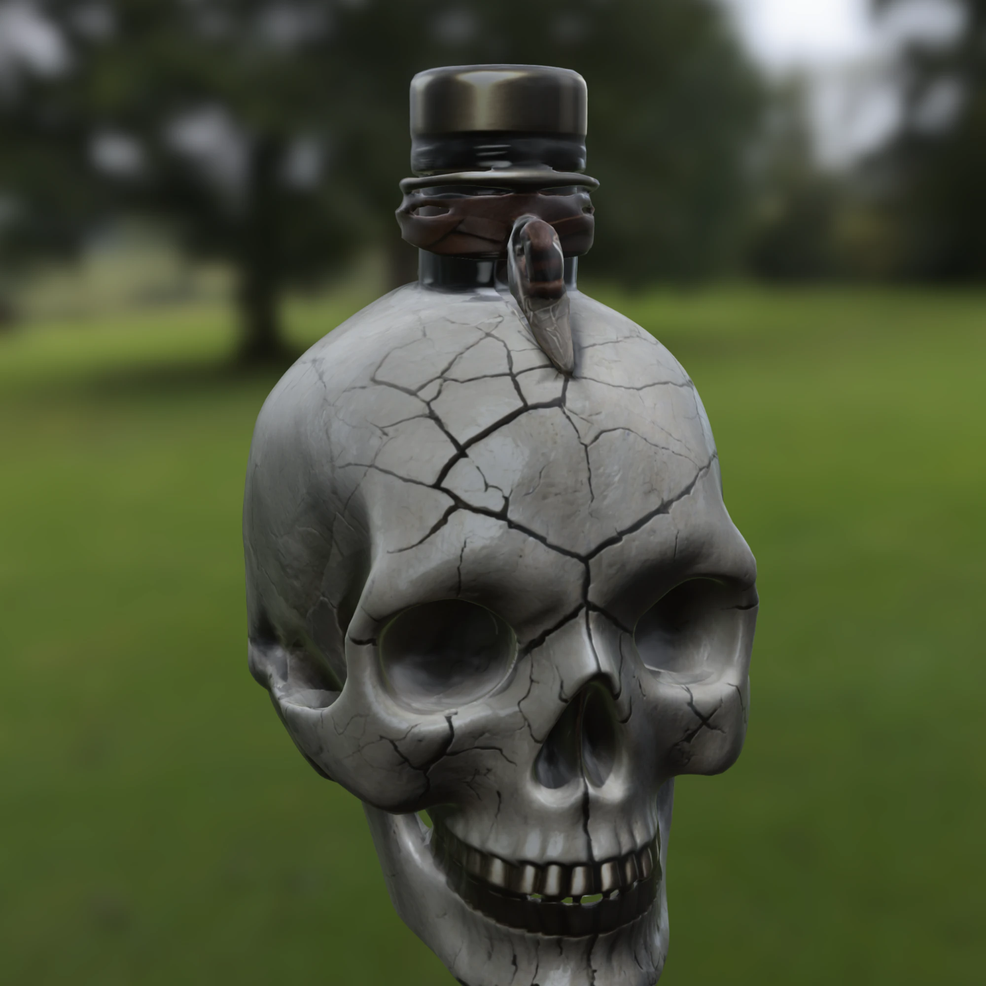 Cracked Skull Potion Bottle 3D Model .c4d .max .obj .3ds .fbx .stl .blend