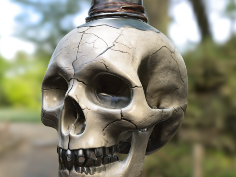 Side-Cracked Skull Flask 3D Model